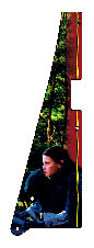 Arwen2